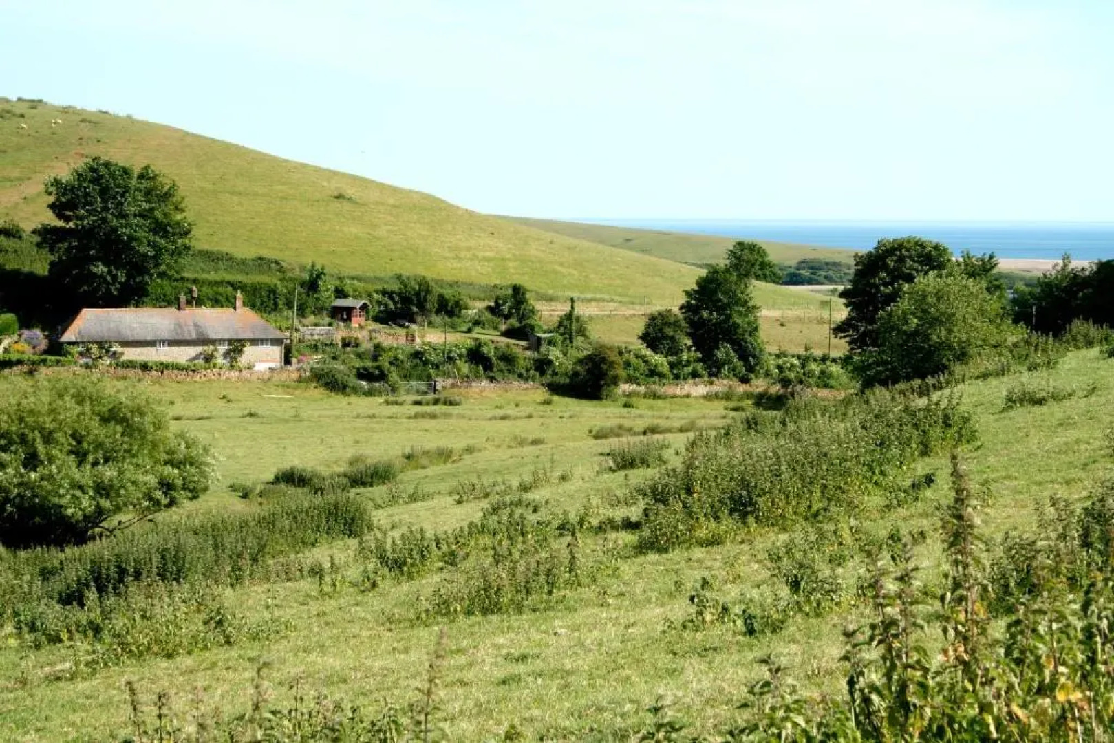 The Cottage Abbotsbury
