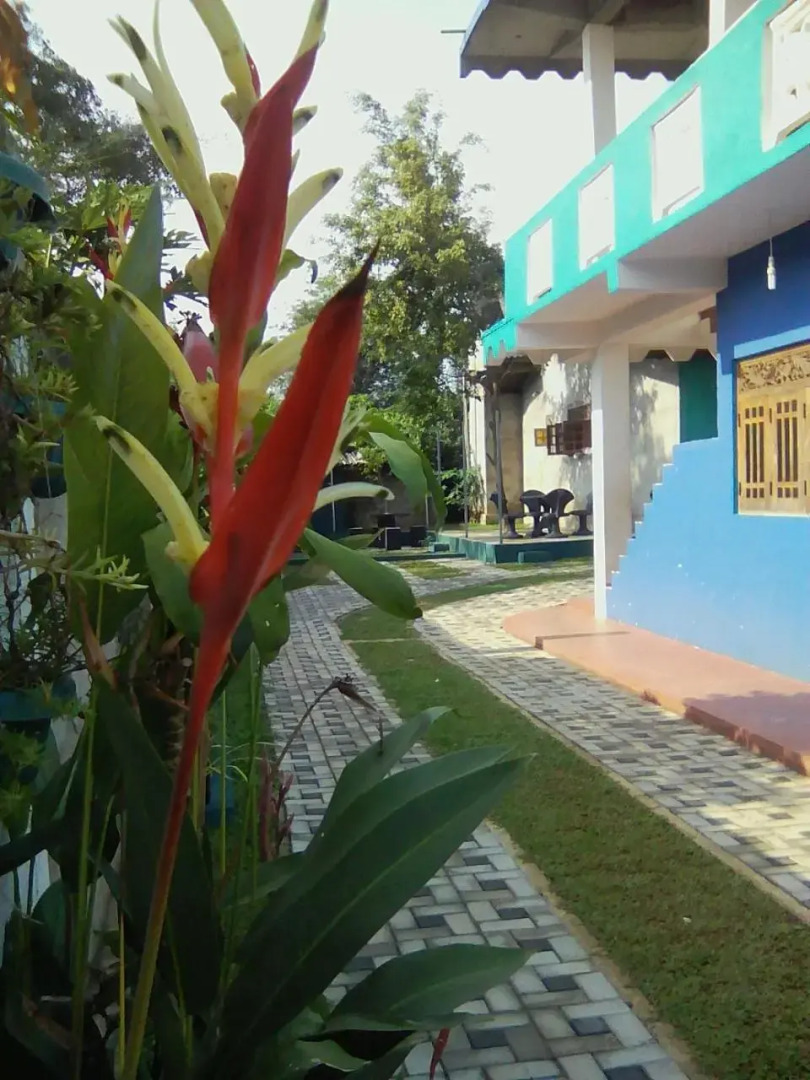 Thomasha Homestay