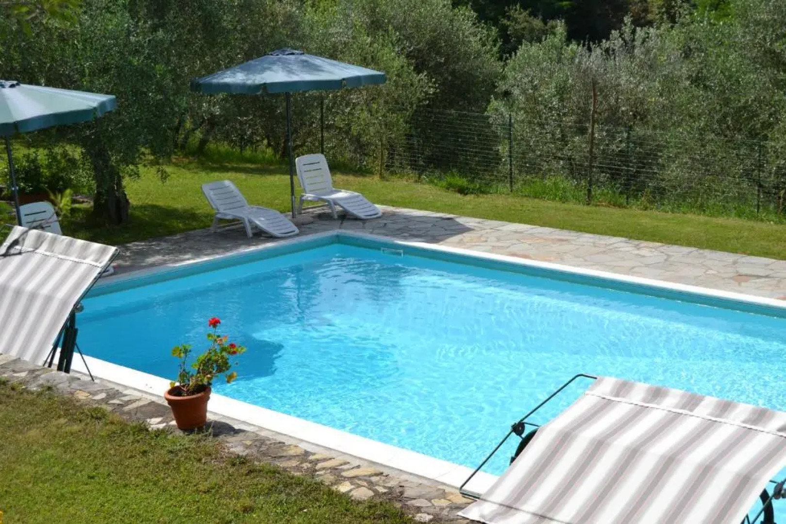 Agriturismo Montereggi