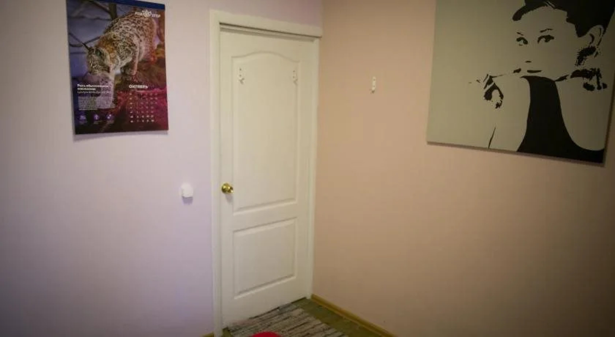 Fusion Hostel