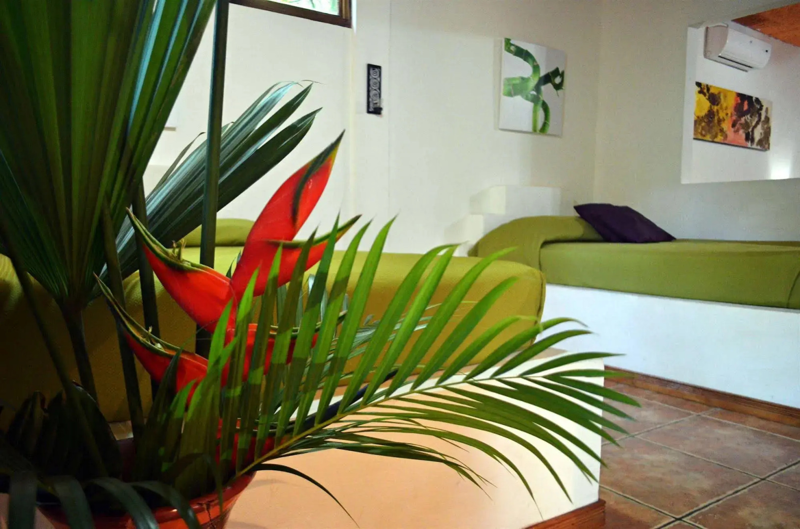 Cariblue Beach and Jungle Resort