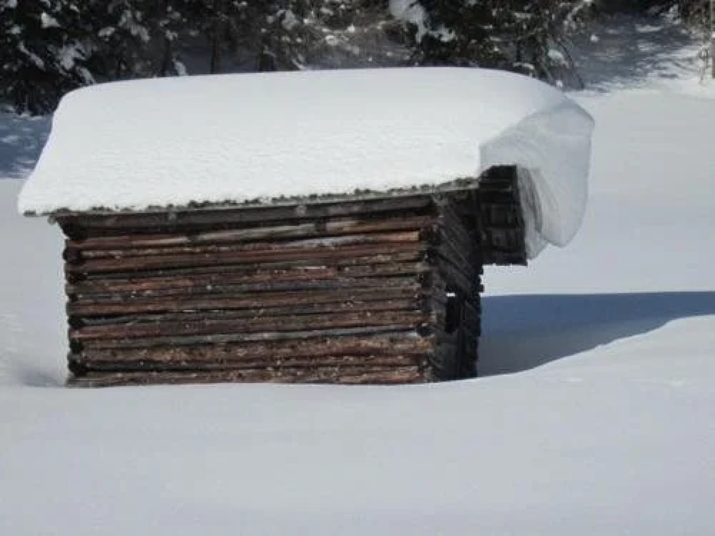 Wirtshaus zum Wiesejaggl