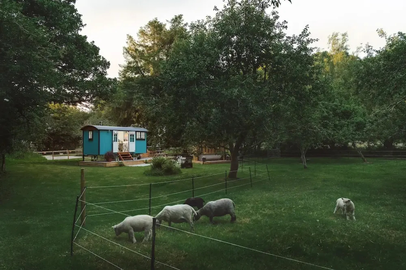 The Wriggly Tin & Baa Spa at Tregoose Old Mill