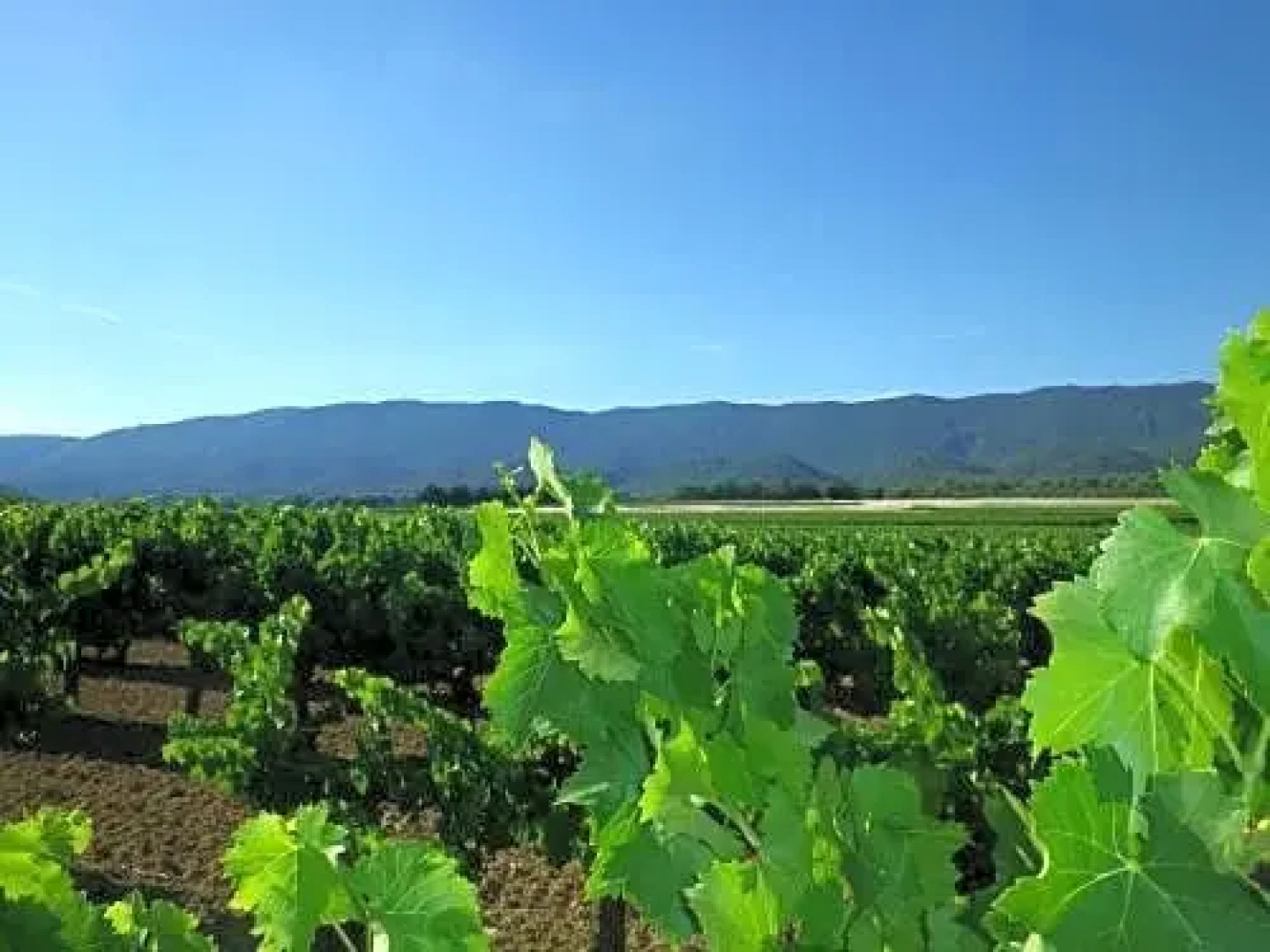 La Mordoree (Adults Only)