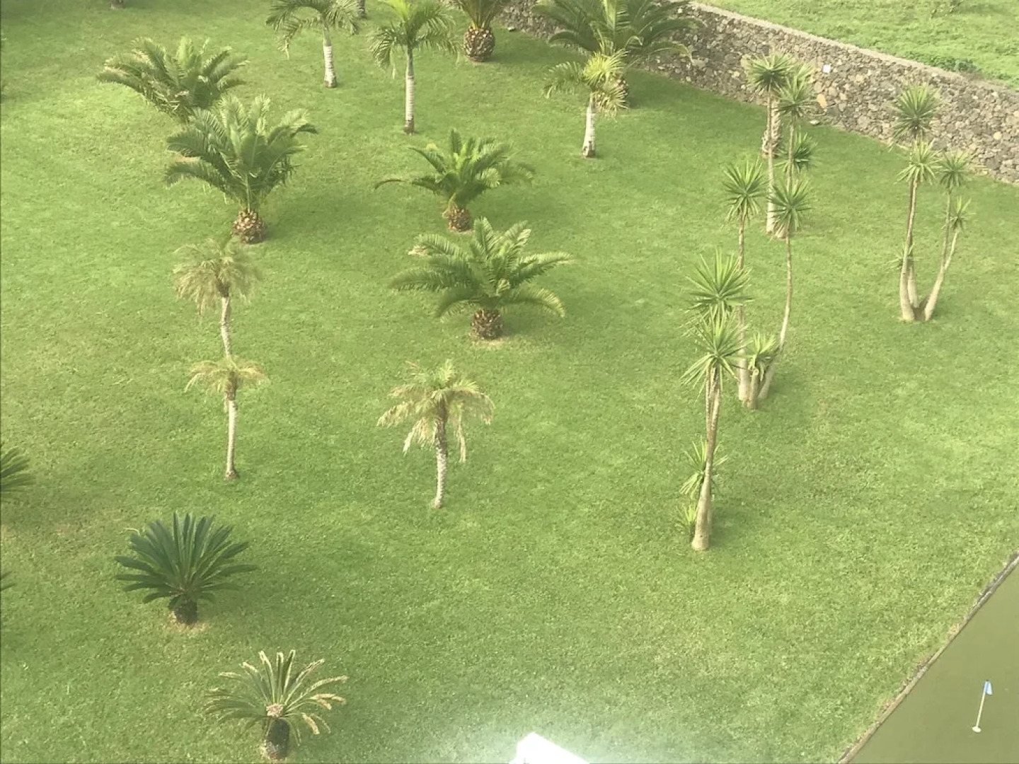 Whalesbay Hotel Apartamentos-NEW