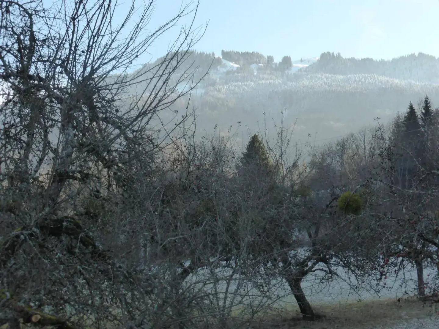 studio Morillon village proche télécabines