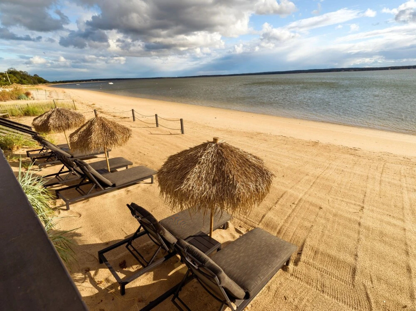 Aqua by American Beech - Adults Only