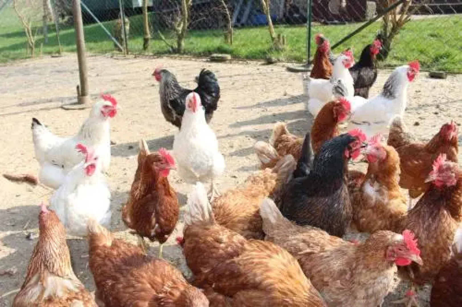 Lehmannshof Ferienwohnungen