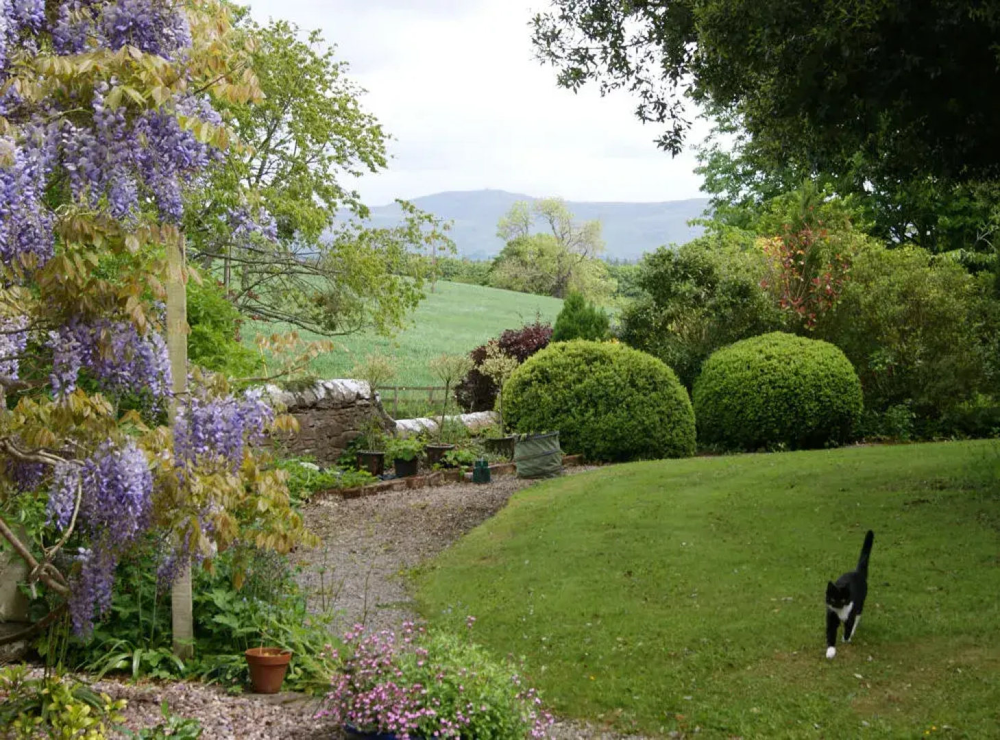 Plas Efenechtyd Cottage B&B