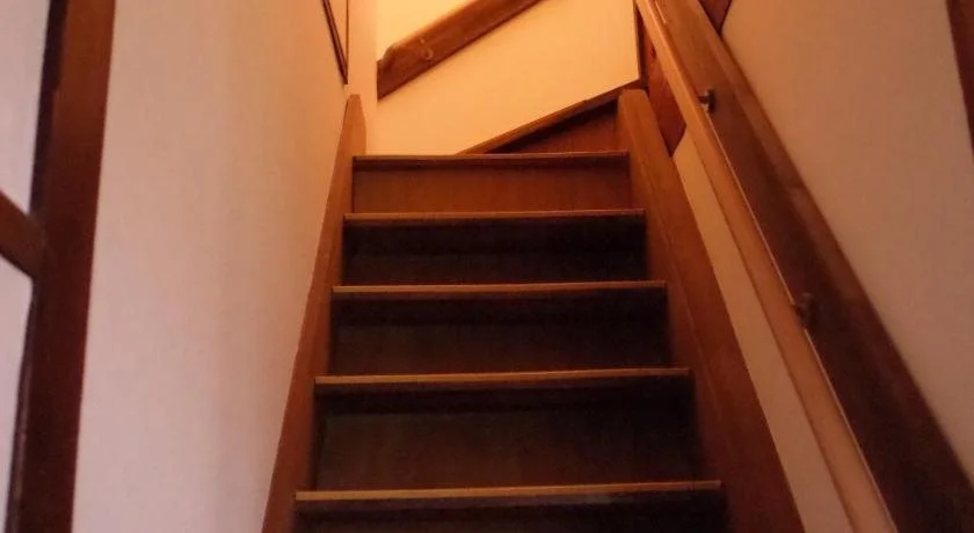 Cafe & Guesthouse Name Came Ono