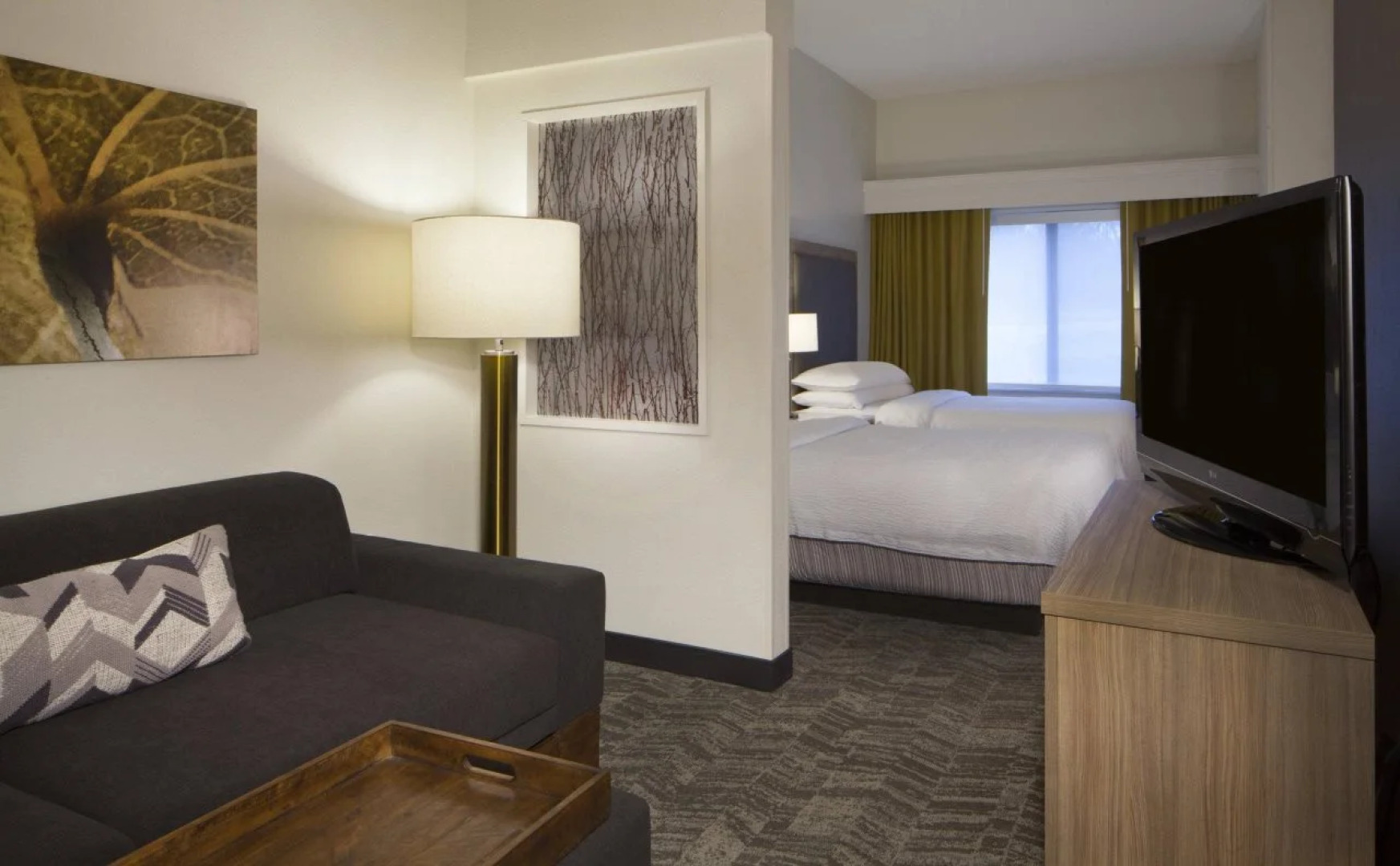 SpringHill Suites by Marriott Atlanta Kennesaw
