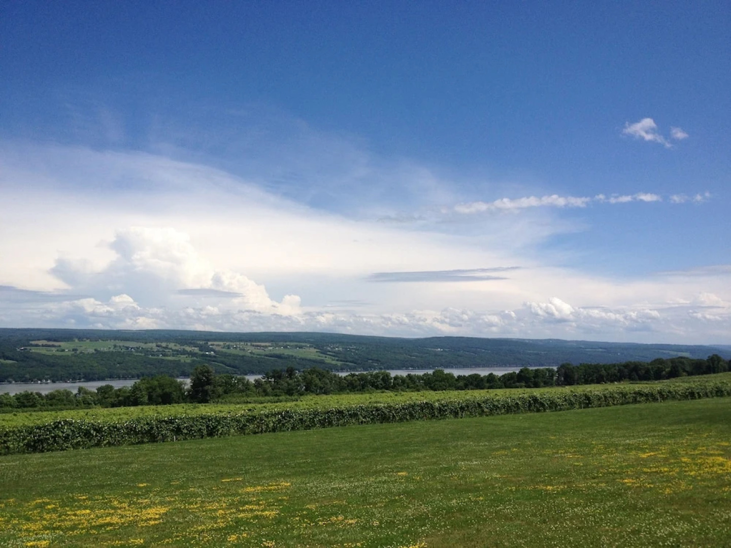 The Inn at Glenora Wine Cellars