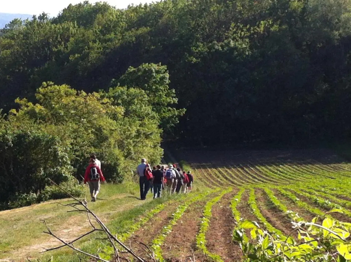 Traubengarten Winkler