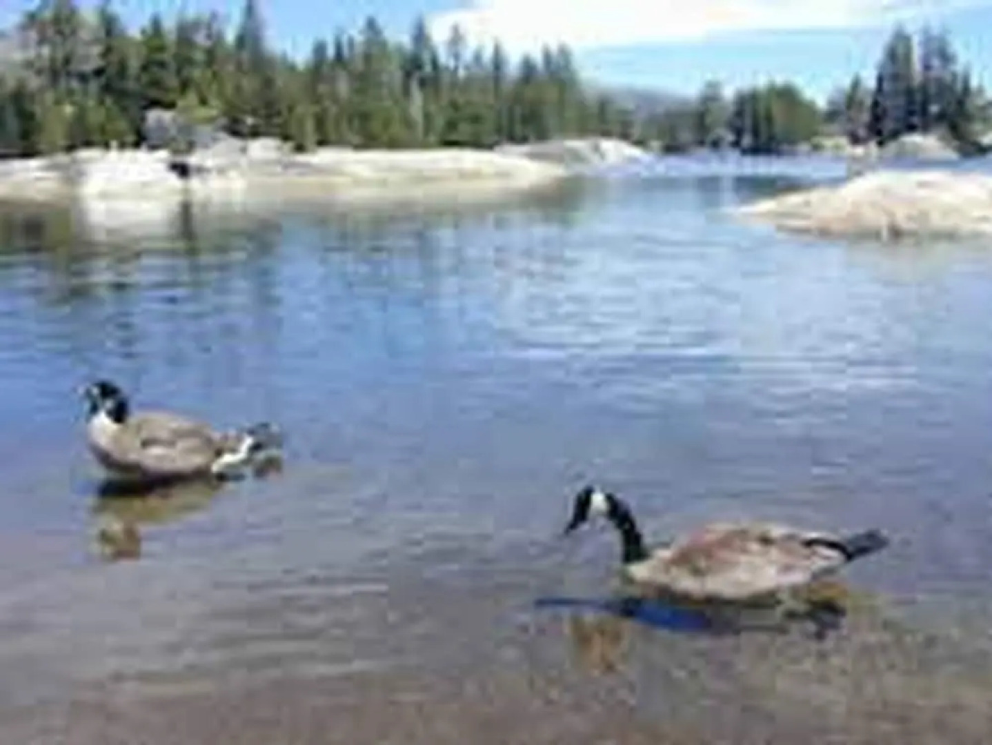 3-level Getaway Kids, Dogs Ev Friendly