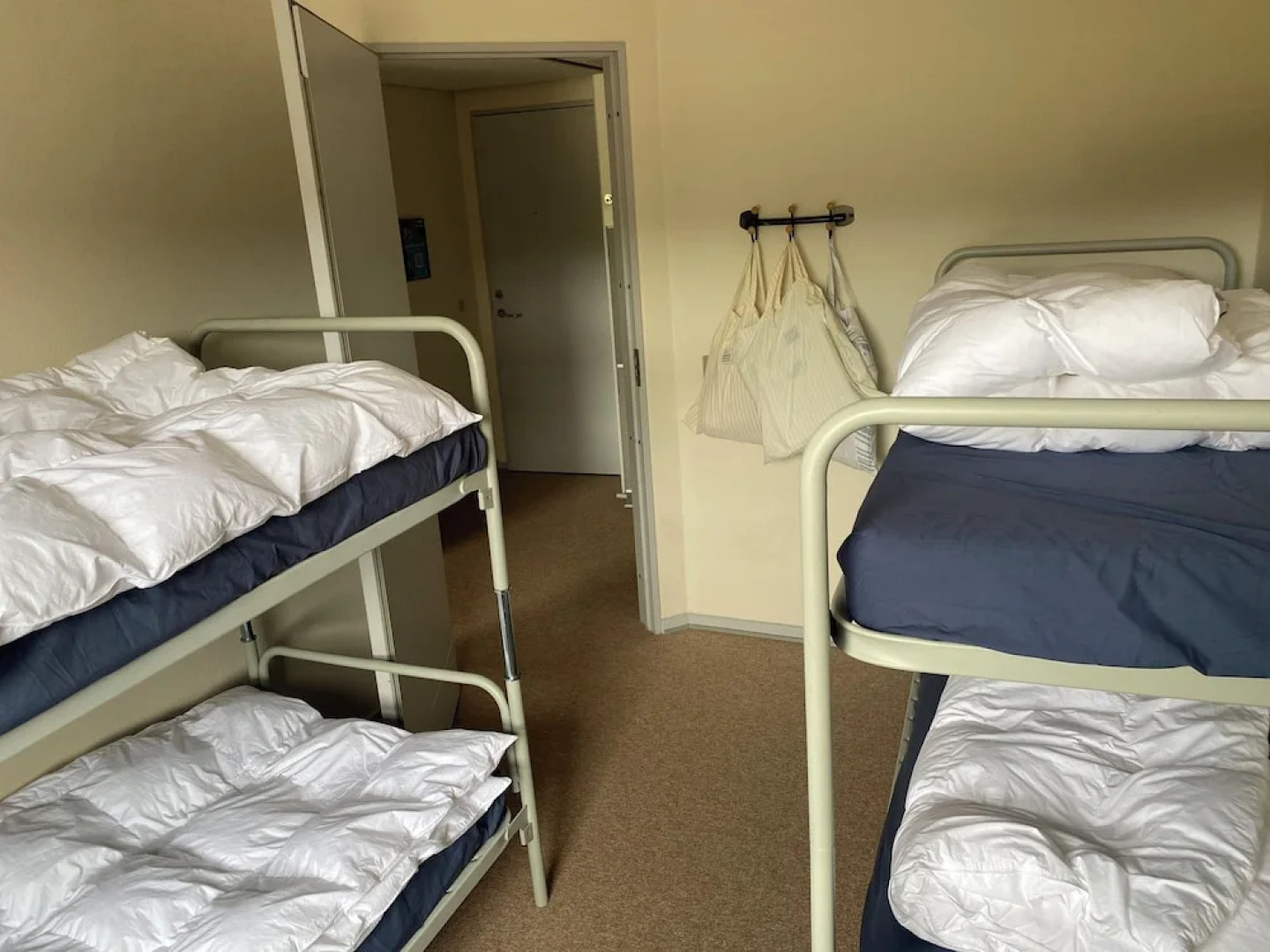 Danhostel Thorhallen Jels