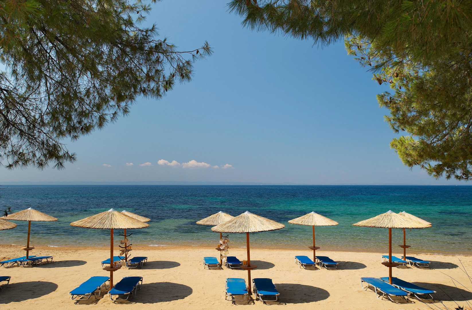 Blue Dolphin Resort Hotel