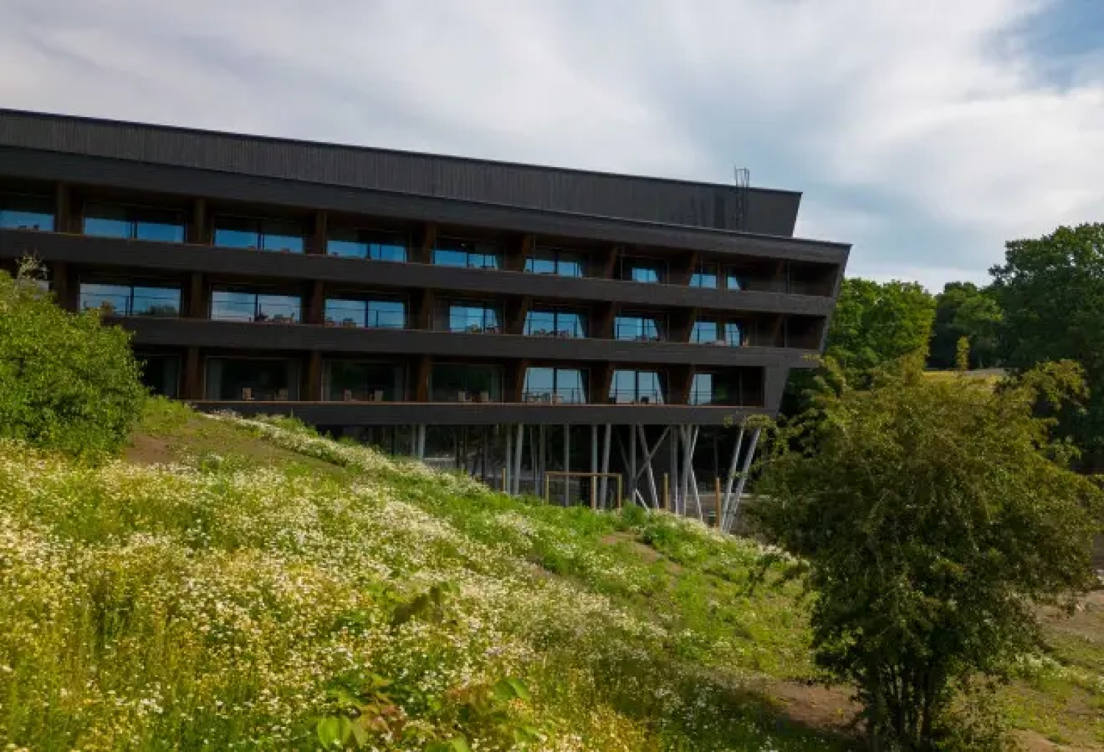 The Ark at Eriksberg