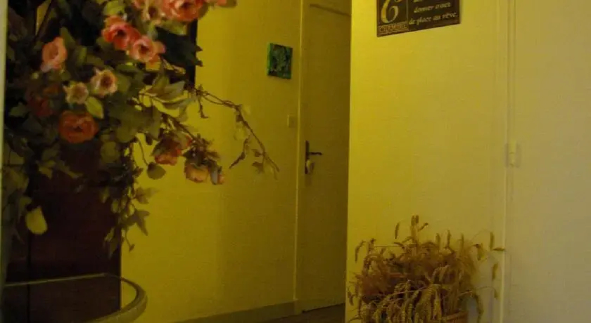 Les Dryades du Bois de Randan