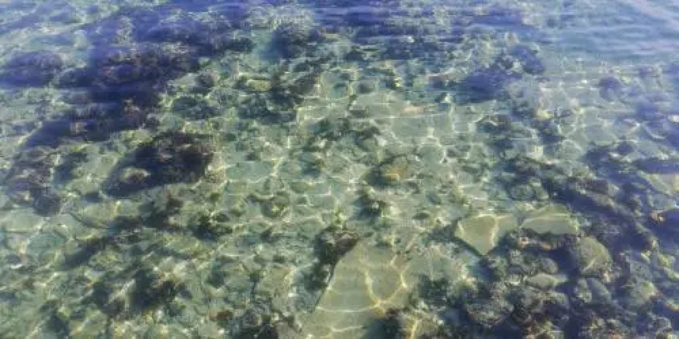 Appartamento corso Garibaldi