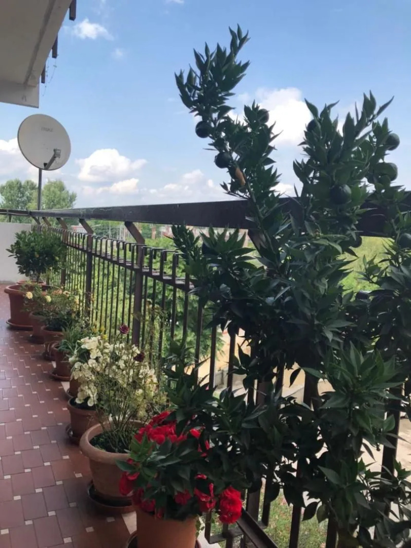 Venice h.s.Garden Home