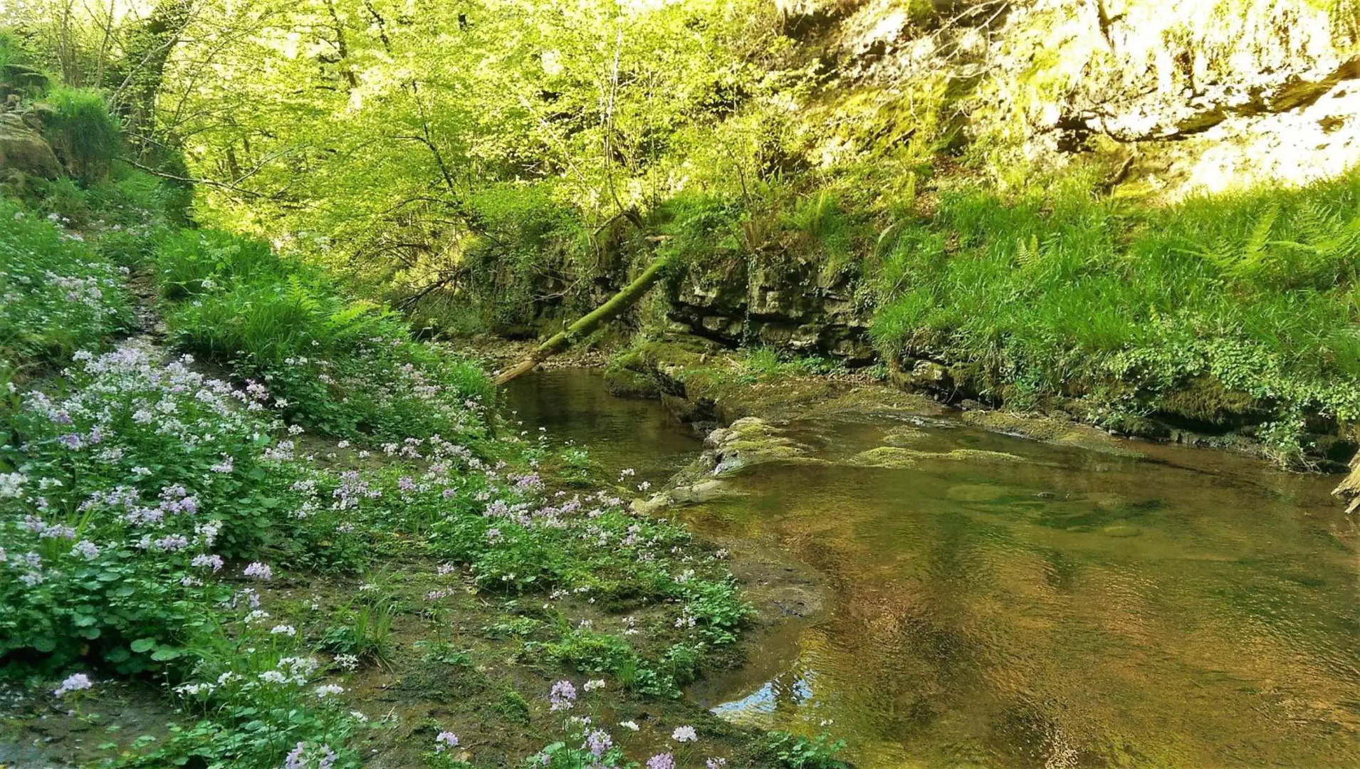 Pidream Cottage . Cabañas de Pisueña