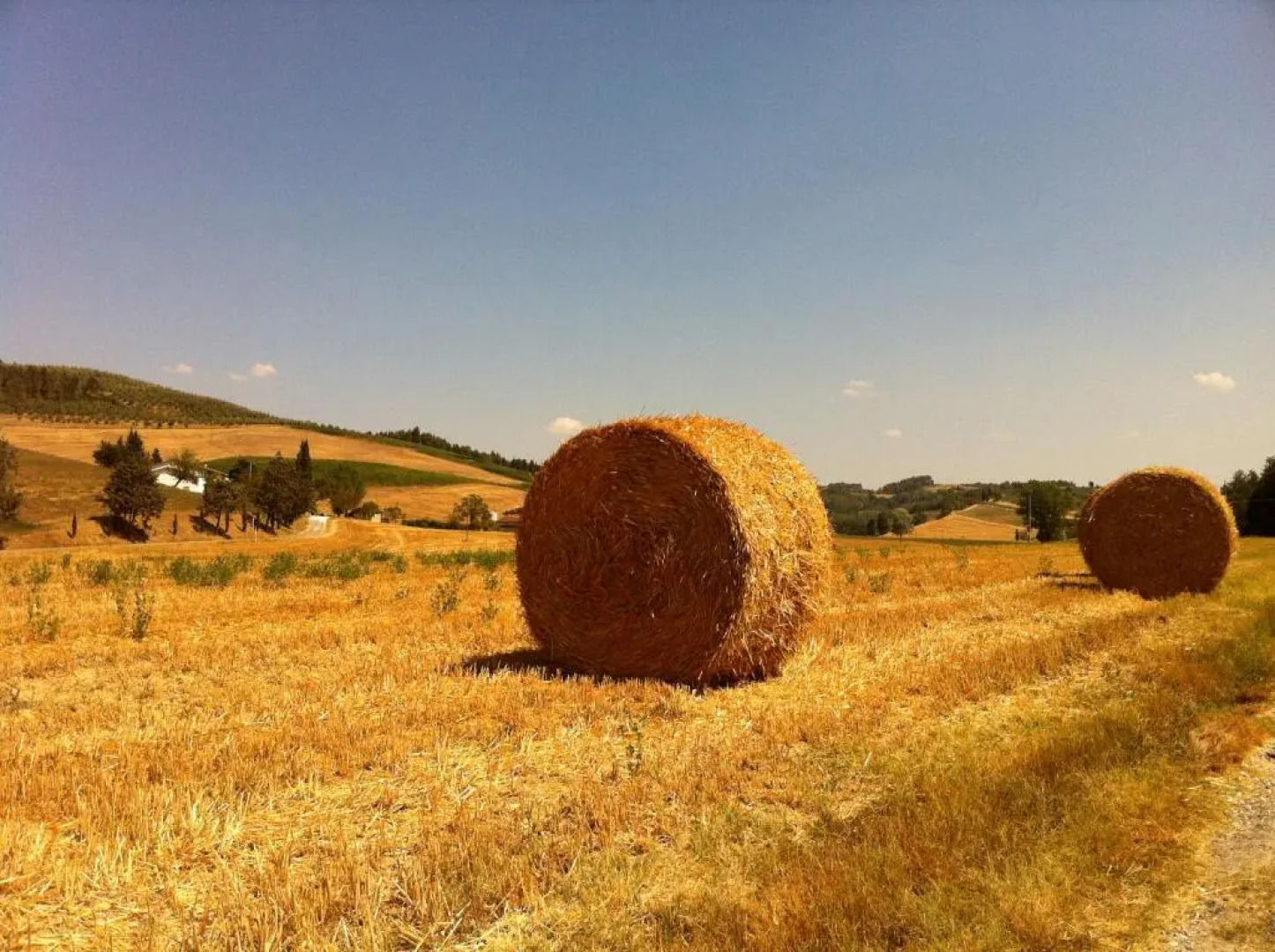 Casa Vacanze "La Farfalla"