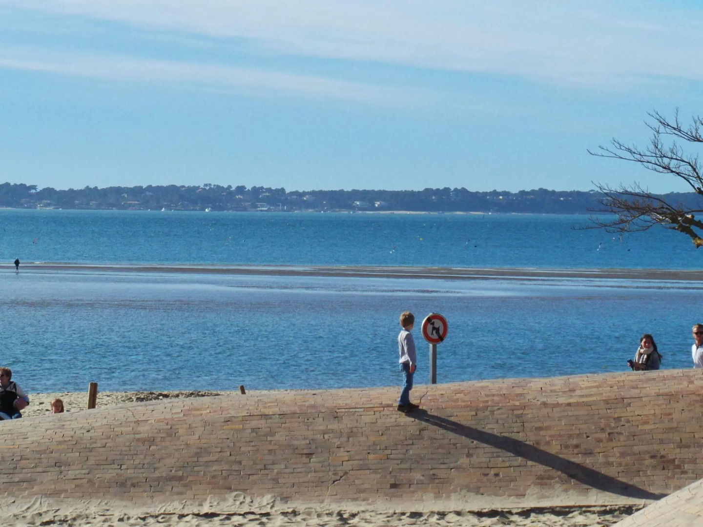 Stone House in a Vineyard, With Swimming Pool, Near Bordeaux