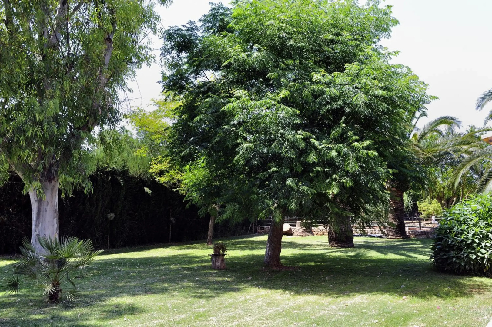 Petit Hotel Es Figueral