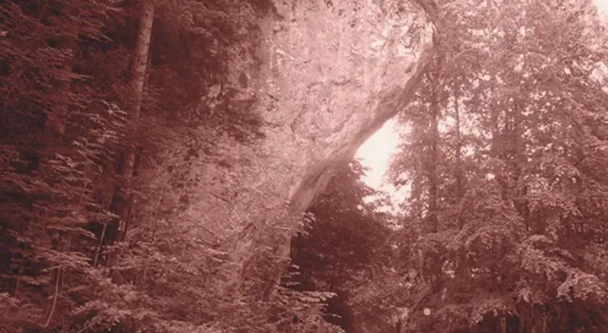 Landgasthof Lindenwirt