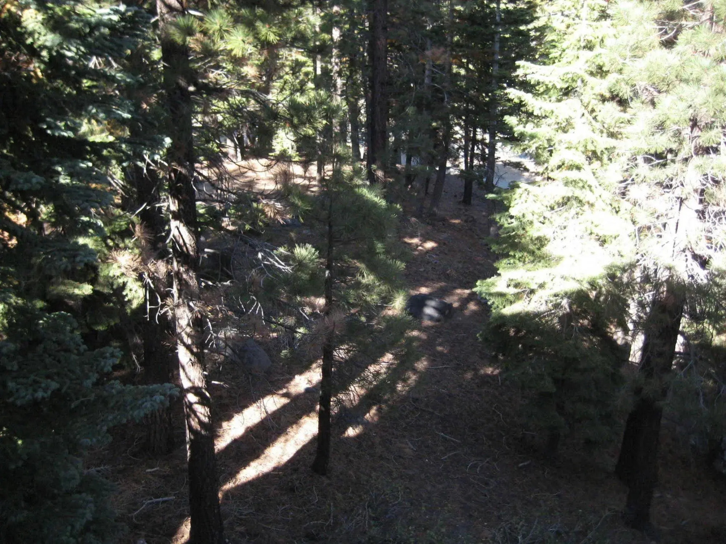 Mammoth View Villas Mammoth Reservation Bureau