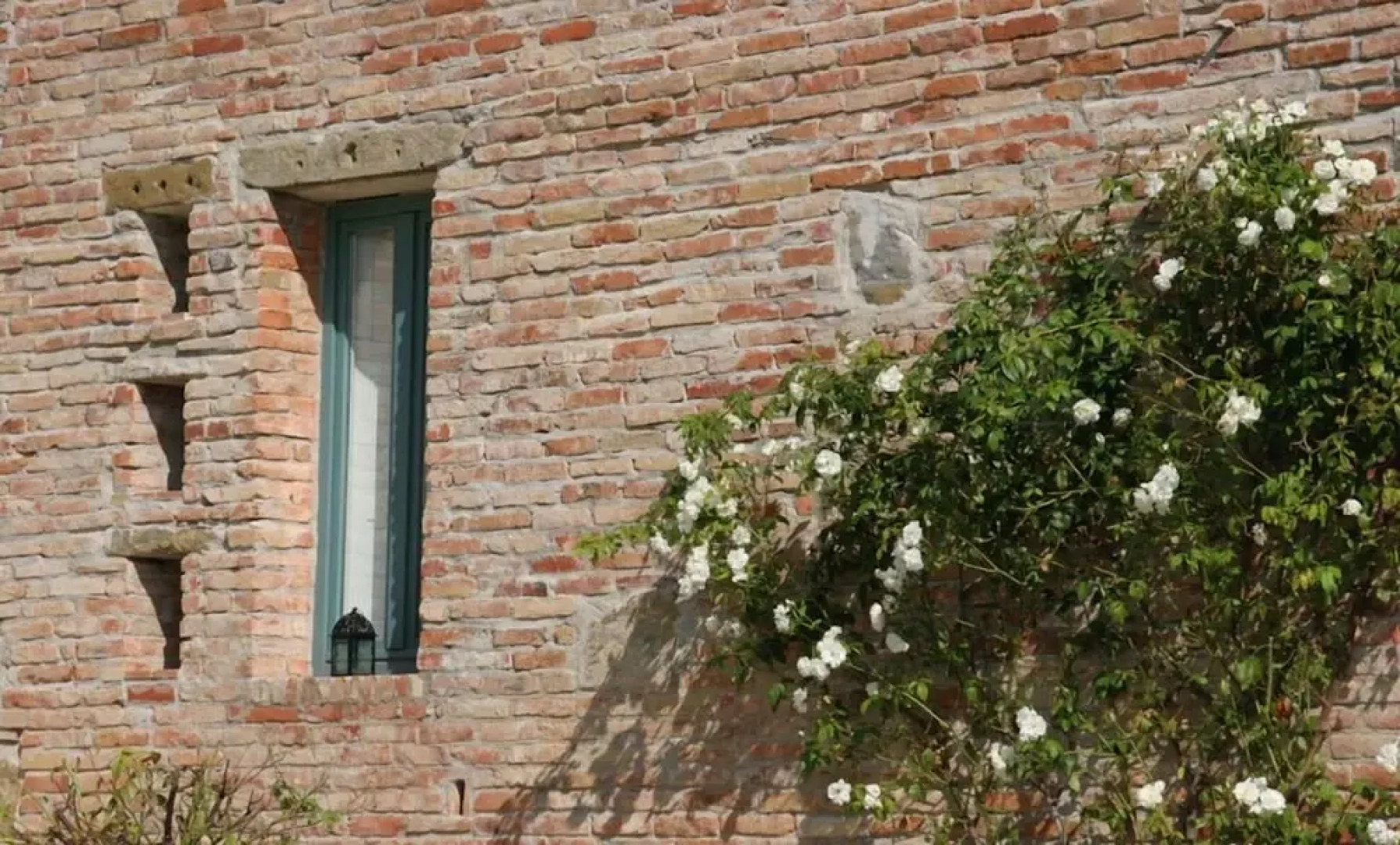 Verdidea - GALLO&GALLETTO