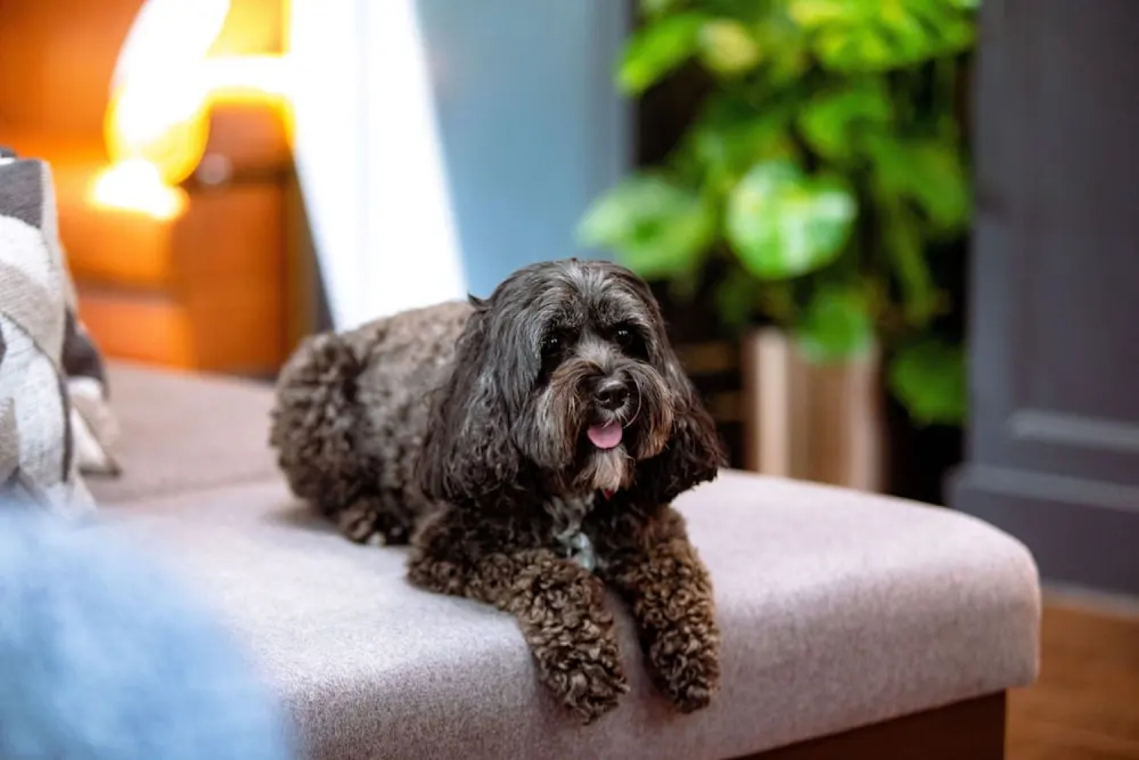 Union Club Hotel Purdue