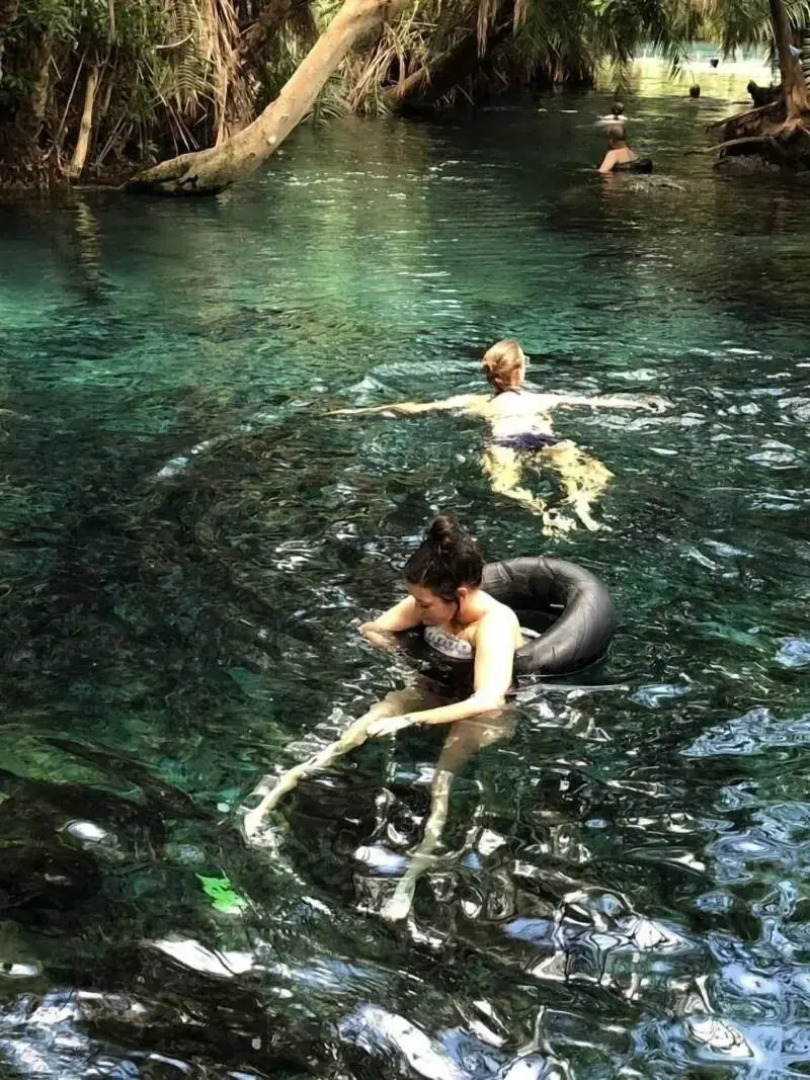 Pink Flamingo Boutique Hotel