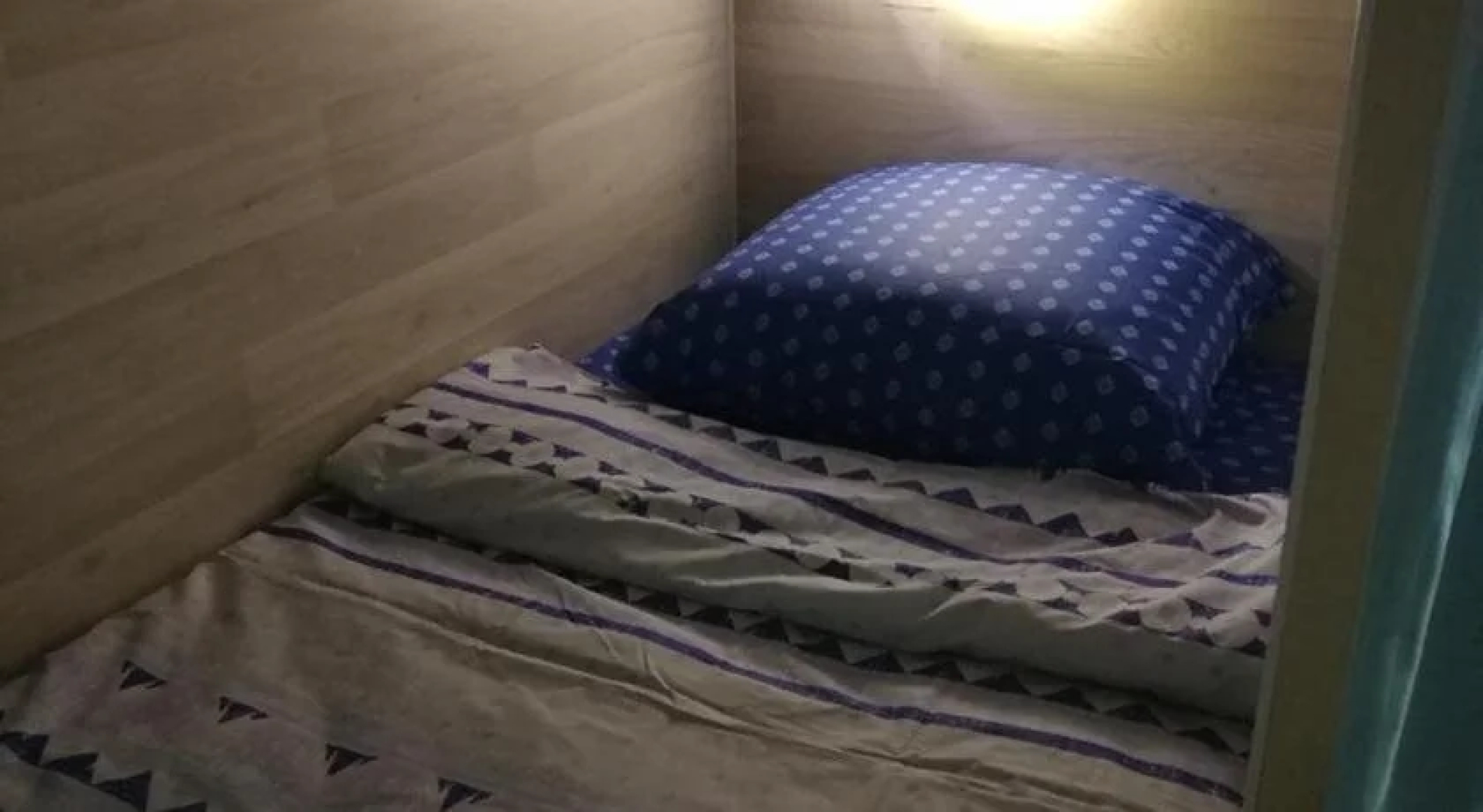 Green Cat Capsule Hostel