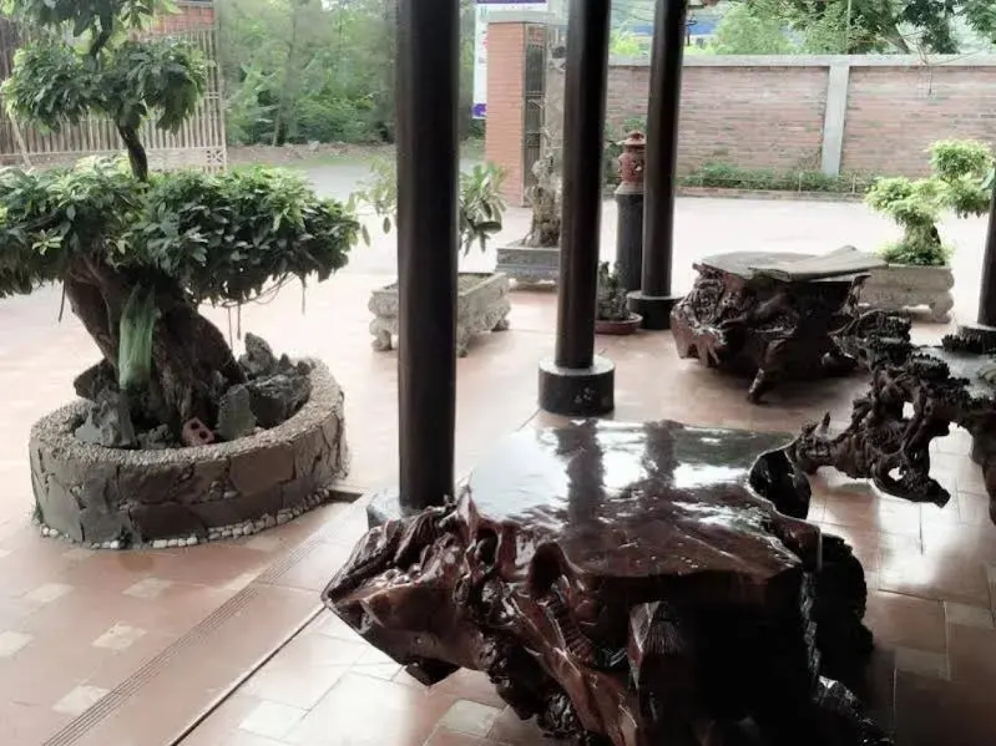 Cat Ba Mountain View