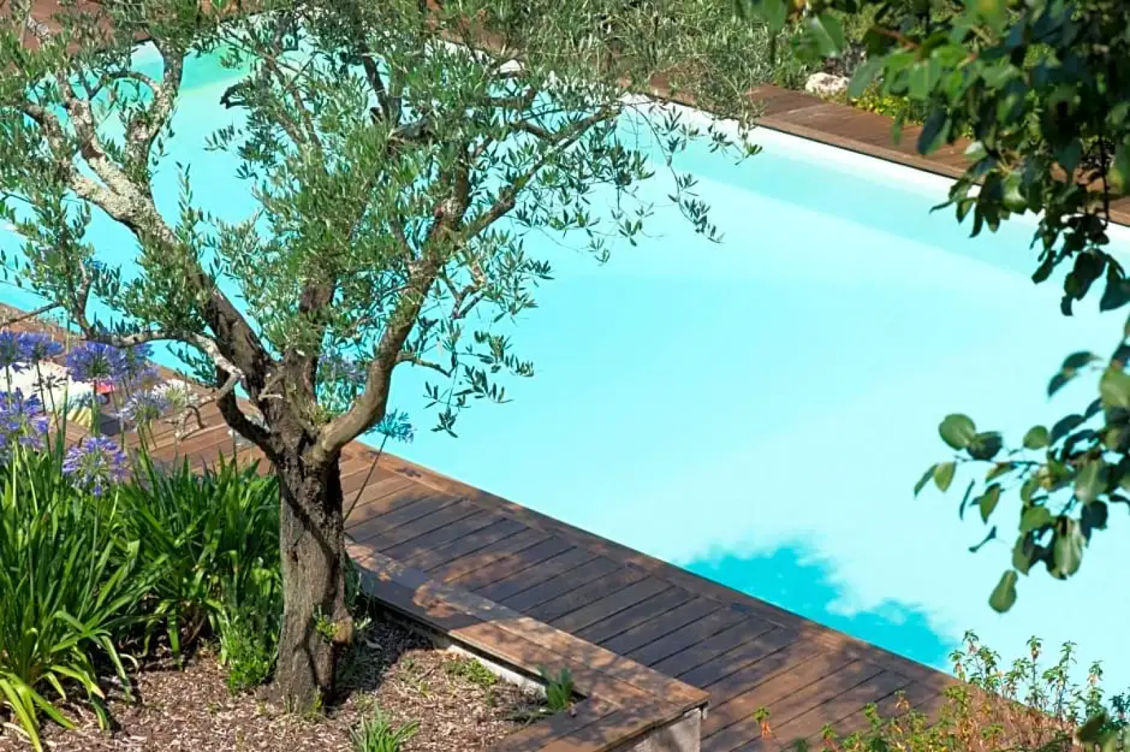 Chambre d'hôtes Château du Tasta