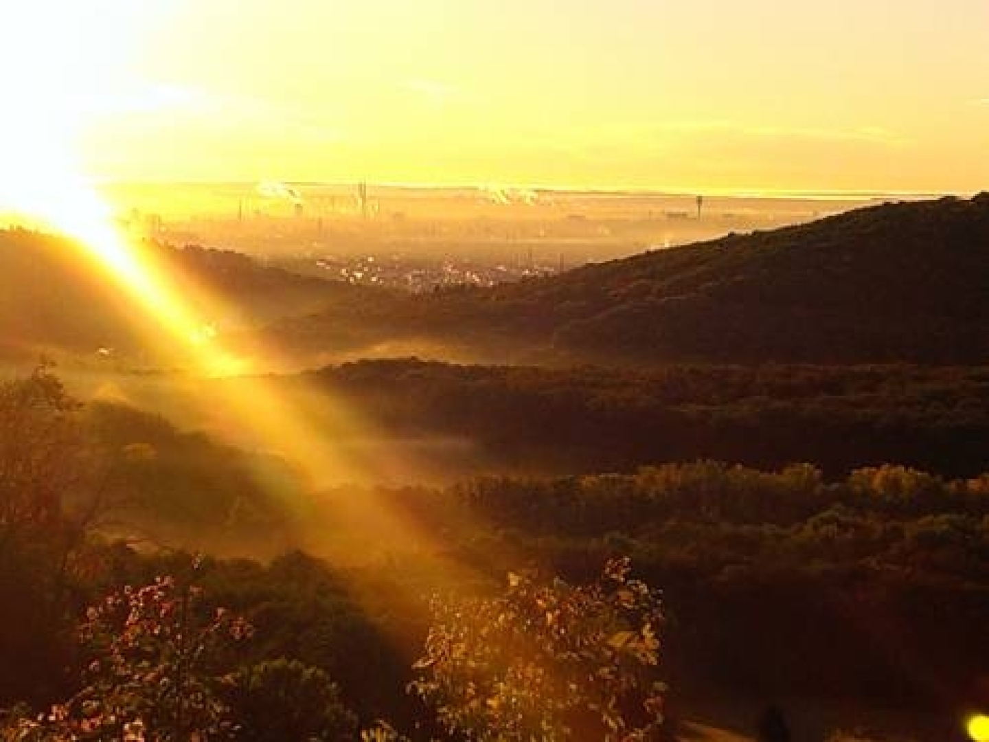 Hotel-Restaurant-Café Sophienalpe