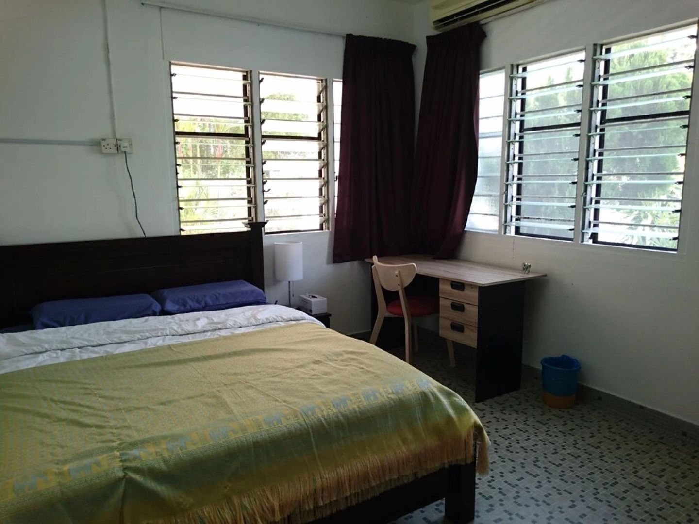 Sea Lion by the Beach