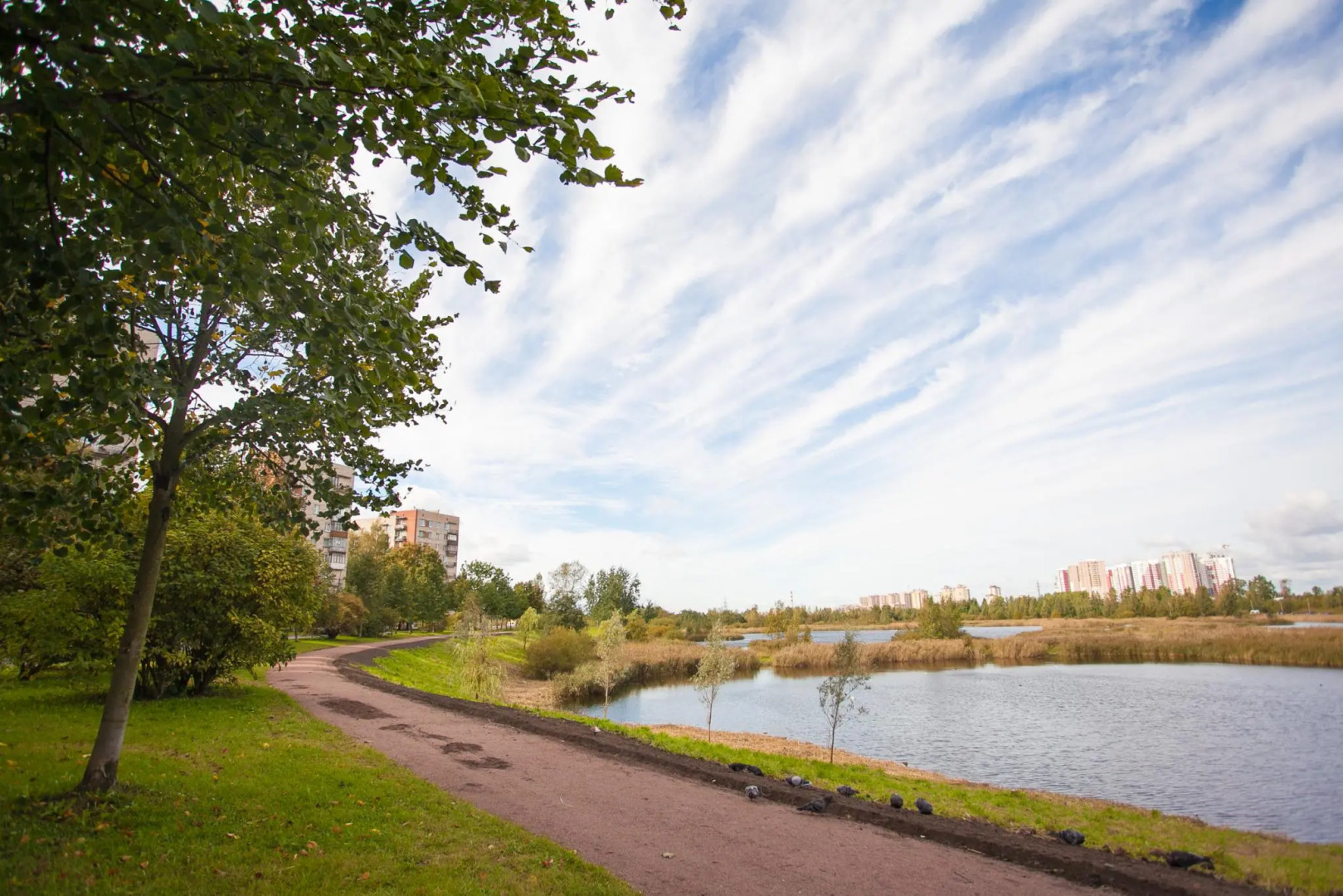 Neva Bed (Нева Бэд) на улице Богайчука