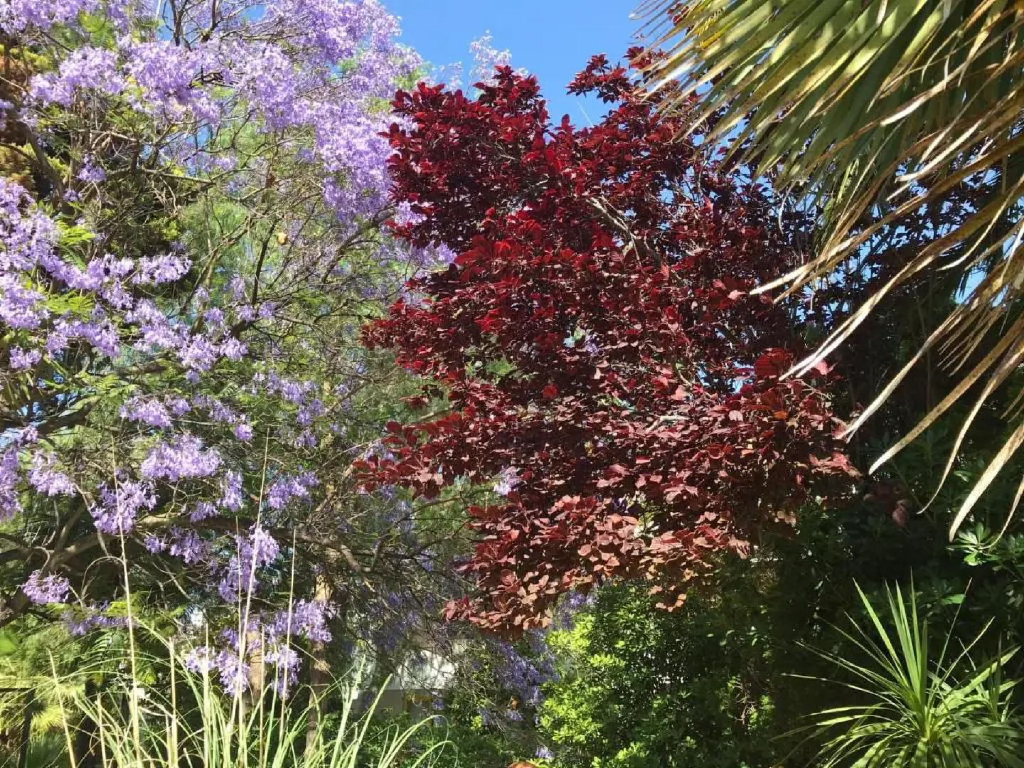 Apartamento Victoria