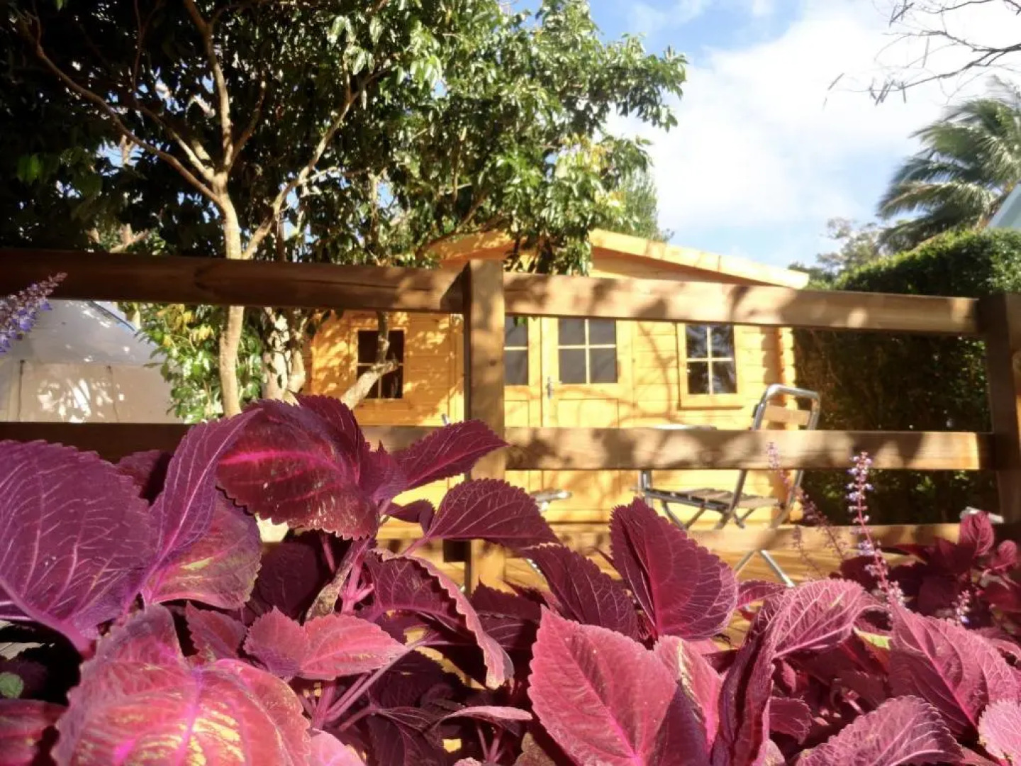 Bubble Dome Village- Glamping