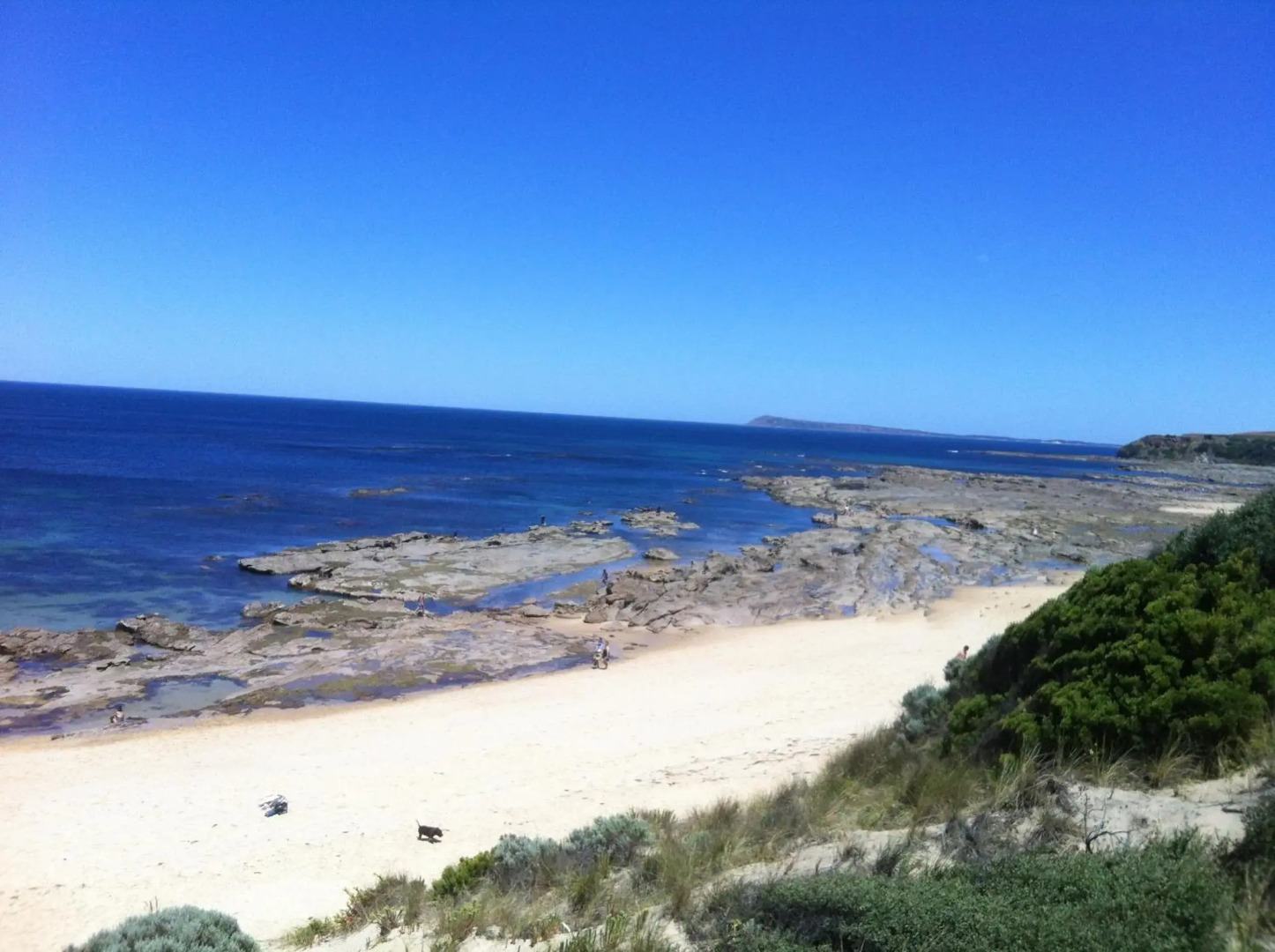 Luxurious Ocean front home, pets welcome, open fire large and spacious