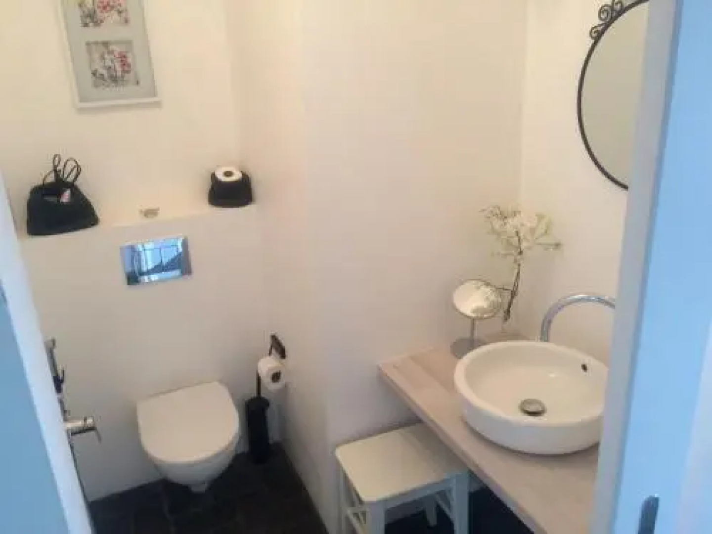 Chamedafne w Puszczy Kampinoskiej