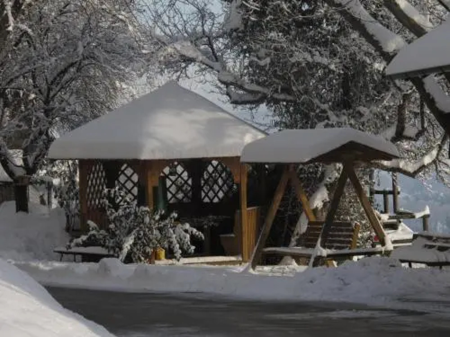 Wiesenbauer - Schlögl Anton