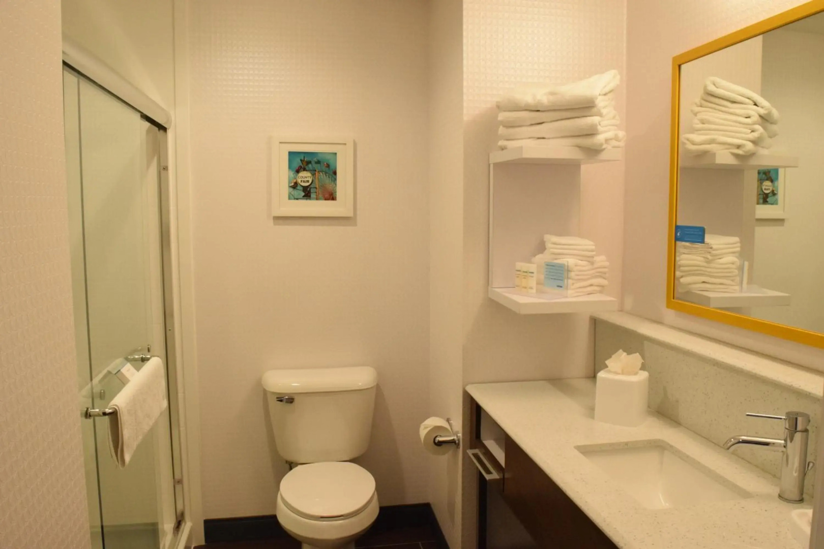 Hampton Inn Buffalo-Hamburg