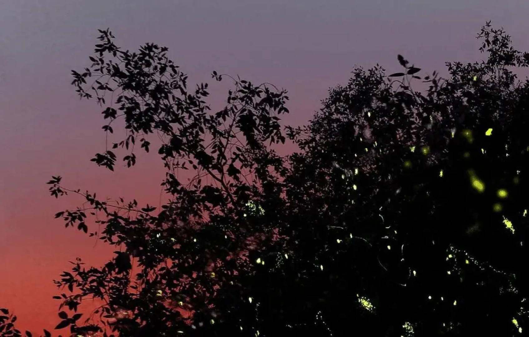 Sekinchan Seaview Homestay