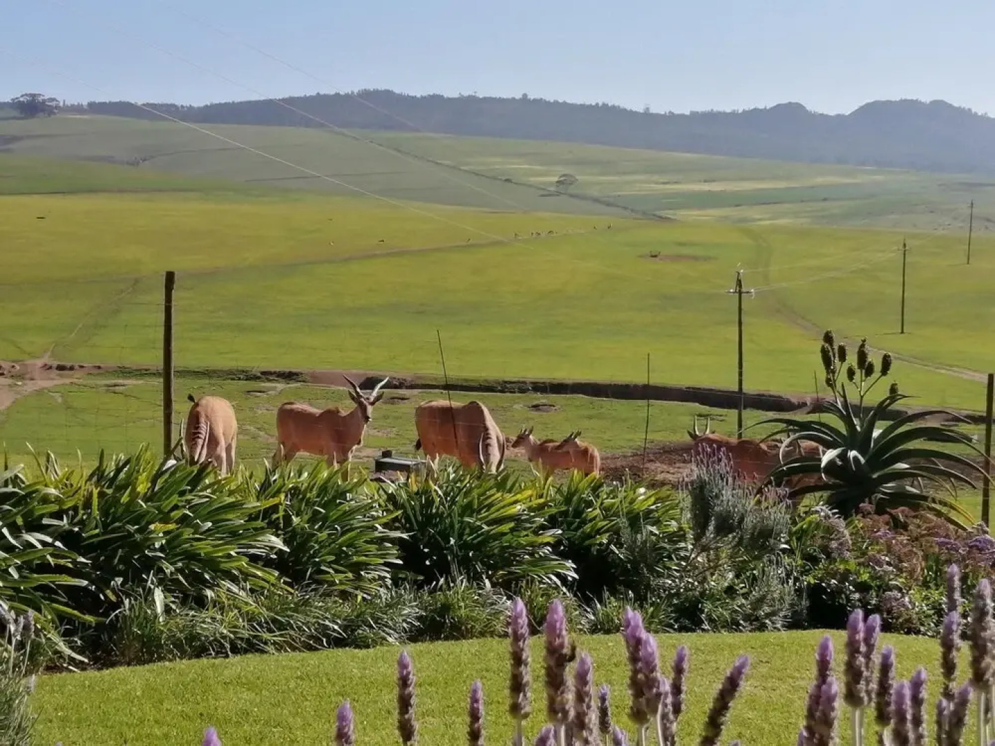 Rouxwil Country House