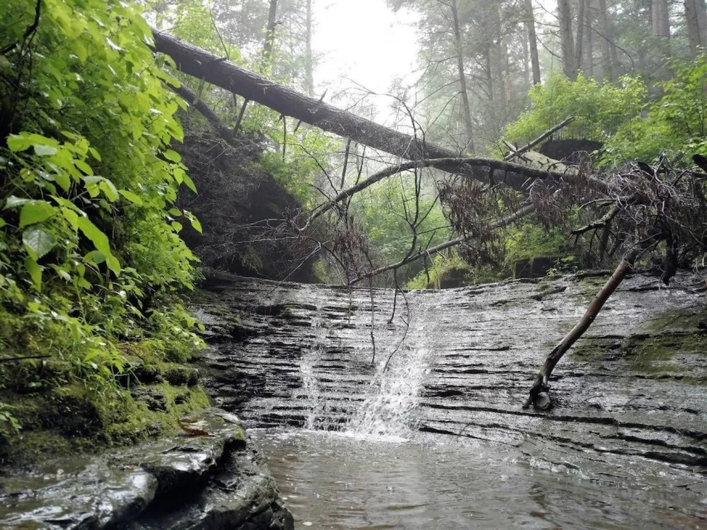 Tentrr - Home Sweet Campsite Two