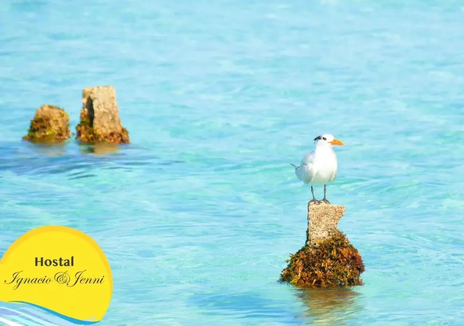 Hostal Ignacio&Jenni