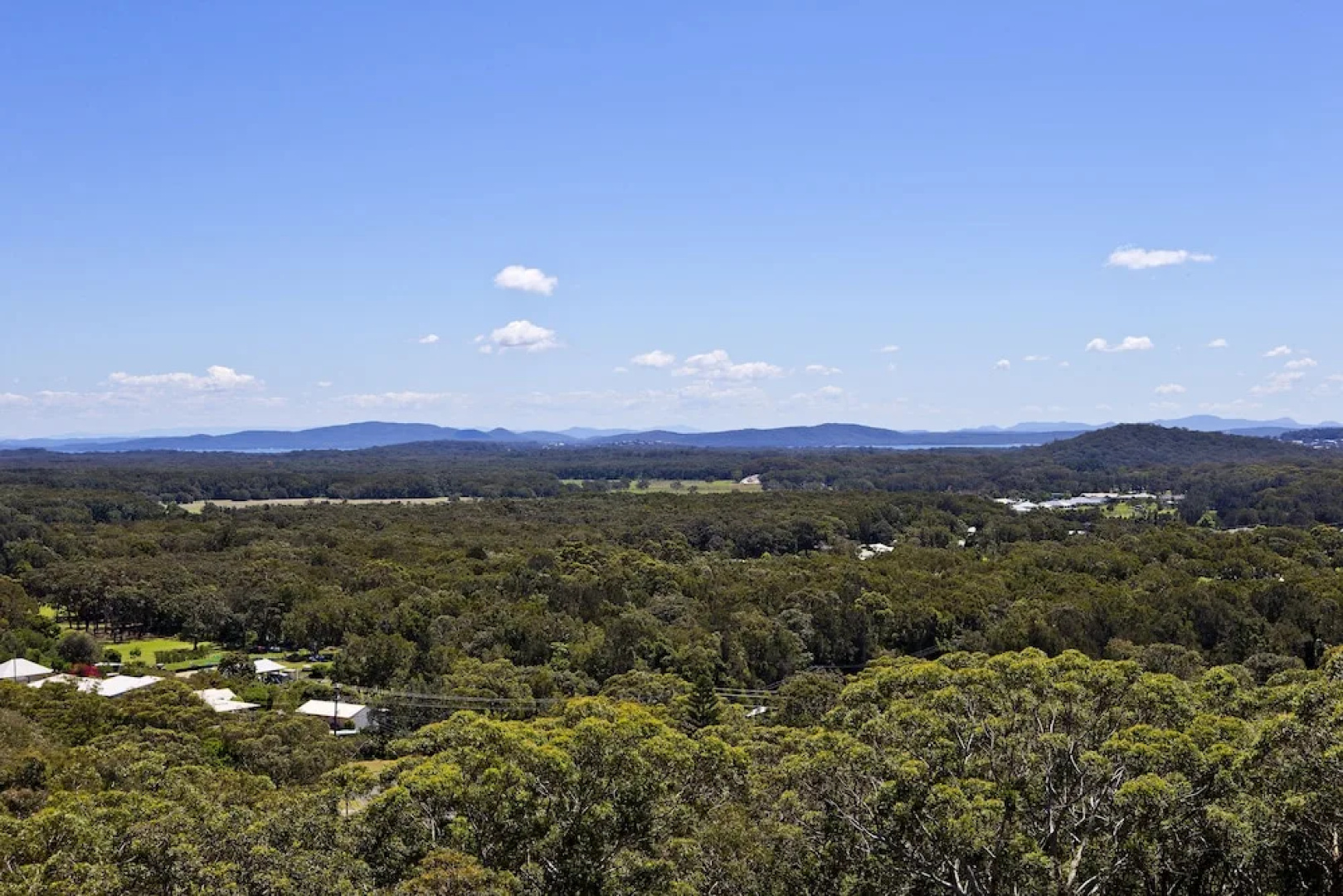 The Lookout